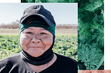Meet a Farmer : Maria Catalán | Farmer’s Footprint