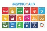 Taking Organisations “Beyond the Sustainable Development Goals”
