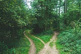 A forest path separates into two paths heading different directions. One path is heavily travelled; the other is not.