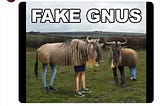 Elon Mush X post FAKE GNUS