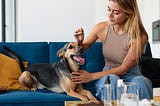 CBDMD Pet Dosage: A Complete Guide for Pet Owners
