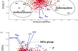 Deciphering Hidden Dimensions: Canonical Correlation Analysis as a Key to Unlocking Multivariate…