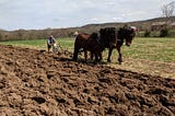 On Value Creation in Digital Agriculture