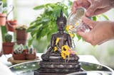 Pouring water gently over a small votive statue of the Buddha.