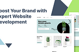 Boost Your Brand with Expert Website Development
