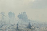 Melihat lebih dekat dampak krisis iklim