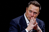 Who is Elon Musk? The Answer Might Surprise You — Part 3— Rest of Portfolio