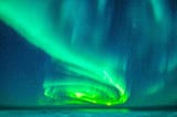 polar bear looking at camera on snow, night, under aurora borealis flashing green light, dark sky