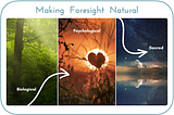 Making Foresight Natural: Embracing the Biological, Psychological, and Sacred Dynamics of Futuring…