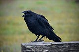 Raven’s Ritual