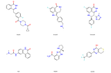 2D chemical structures of six poly(ADP-ribose) polymerase (PARP) inhibitors used in this study. Top row include three FDA approved compounds (olaparib, rucaparib, and talazoparib), bottom row include three investigational compounds (PJ34, veliparib, and XAV939)