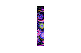 Asycd Late Spring Update 2025 + Upcoming “summere” Art Collection and our New AI Artwork Generator
