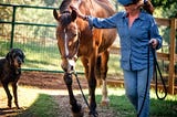 Wild horse and burro adoptions remain important programs for the BLM