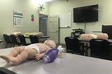 The Role of BLS Training in School Safety in Tallahassee