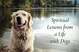 The Ten Perfections: Spiritual Lessons from a Life with Dogs