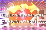 Get Exclusive Benefits,Only For WIN NFT HORSE Player