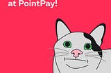 PointPay Meme Competitions!