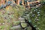 Steps hewn from stone leading to a hidden Buddhist cave.