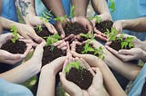 8 pairs of hands held out in a circle, each holding soil and a seedling tree, representing socially responsible businesses