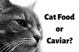 There comes a time when you ask yourself a simple question: catfood or caviar?