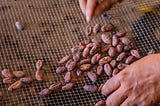 What does Uncommon Cacao do?