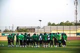SUPER EAGLES’ AFCON OUSTER: ‘WHY NOT’ AND ‘WHAT NOW’?