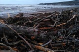 A view of Stonehaven Bay, looking south towards Downie Point. The sea is rough and the shingle beach is mostly covered with tangled driftwood.