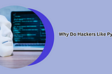 Why Do Hackers Like Python