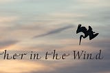 Feather in the Wind