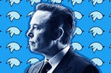 Was Musk Radicalised by His Own Platform?