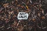 How to stay calm and live happily. “The Daily Stoic” problem-solving guide