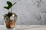 A plant grows out of a jar full of coins