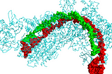 CRISPR: An Old Biological Treasure