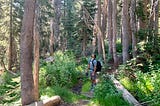 Backpacking in the Kings Canyon National Park. Photo: Briony Smith, 2019