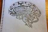 Medical Illustration- The Brain