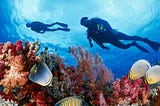 Should you scuba dive or not?