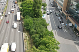 Steps to Creating and Urban Forest in Your City