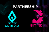 BITINDI CHAIN PARTNERSHIP ANNOUNCEMENT