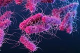 Outpaced in the Evolutionary Arms Race
