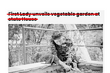 The Bill in Mrs. Tinubu’s garden.
