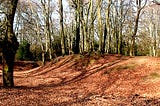 Epping Forest