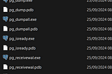 How to update Postgres binaries in DBeaver