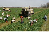 Why Immigrants Risk Their Lives Coming to the U.S.