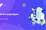 Vite Bi-Weekly Report