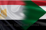 Cybertalents Quals : Saudi, Sudan, Egypt and Tunisia National CTF 2020 Write-Up