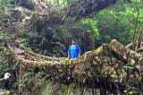 Double Decker root  bridge, Meghalaya