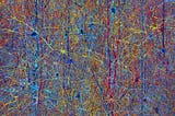 Figure 1: A ‘forest’ of neurons (Image: Blue Brain Project/EPFL, 2005).