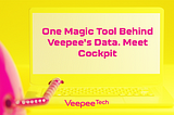 One Magic Tool Behind Veepee’s Data. Meet Cockpit