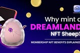 Why mint a Dreamland NFT Sheep? — Membership NFT Benefits Explained