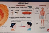 How Did the Monkeypox Virus Spread?